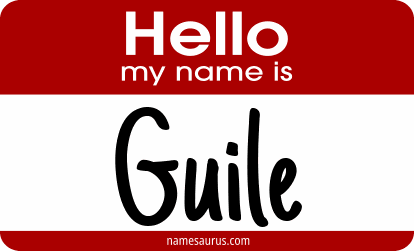 Hello my name is Guile png download