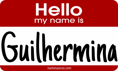 Hello my name is Guilhermina png download
