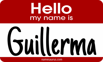 Hello my name is Guillerma png download