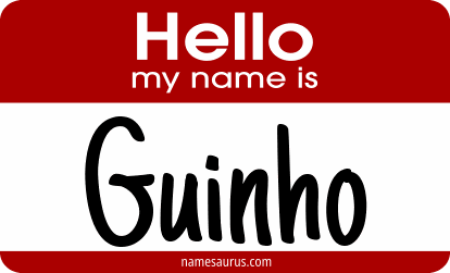 Hello my name is Guinho png download