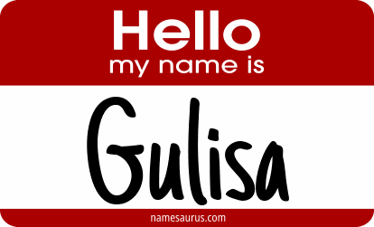 Hello my name is Gulisa png download