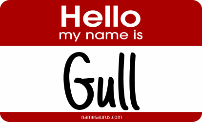 Hello my name is Gull png download