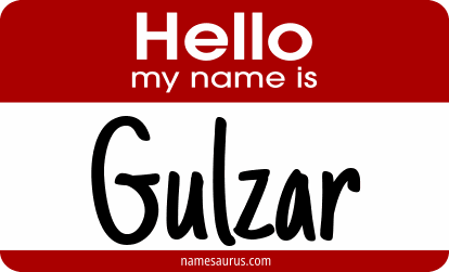 Hello my name is Gulzar png download