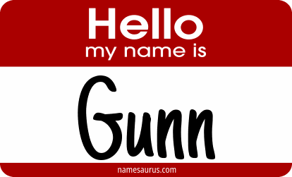 Hello my name is Gunn png download