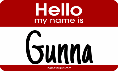 Hello my name is Gunna png download