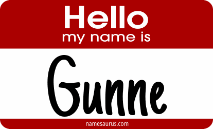 Hello my name is Gunne png download