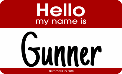 Hello my name is Gunner png download
