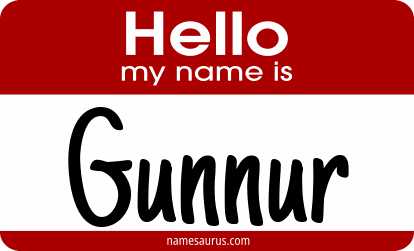 Hello my name is Gunnur png download
