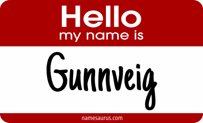 Hello my name is Gunnveig png download