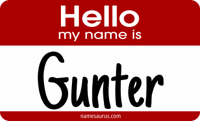 Hello my name is Gunter png download