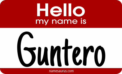 Hello my name is Guntero png download