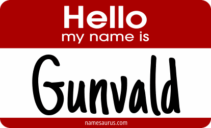 Hello my name is Gunvald png download