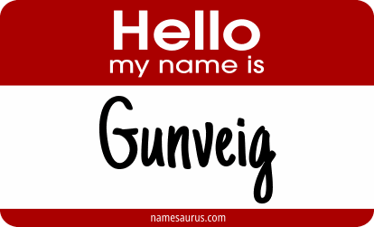 Hello my name is Gunveig png download