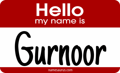 Hello my name is Gurnoor png download
