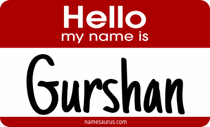 Hello my name is Gurshan png download