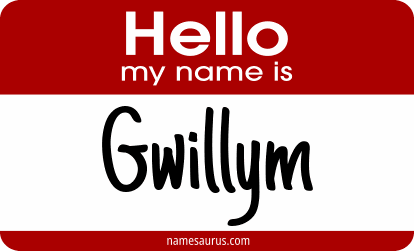 Hello my name is Gwillym png download