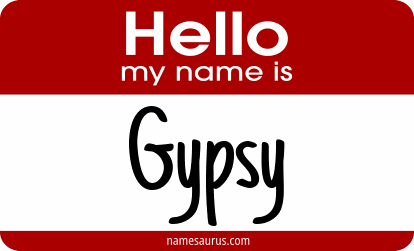 Hello my name is Gypsy png download