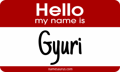 Hello my name is Gyuri png download