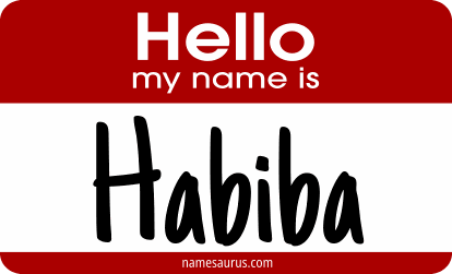 Hello my name is Habiba png download