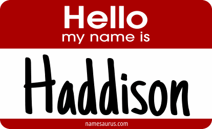Hello my name is Haddison png download