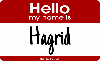 Hello my name is Hagrid png download
