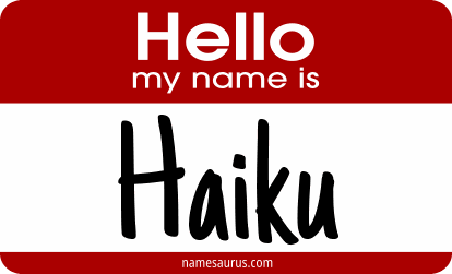 Hello my name is Haiku png download