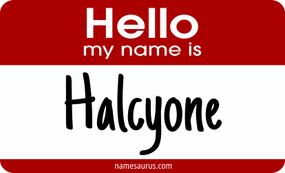 Hello my name is Halcyone png download
