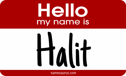 Hello my name is Halit png download