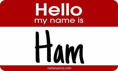 Hello my name is Ham png download