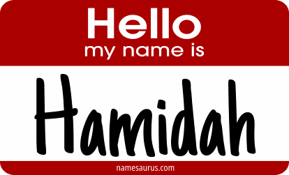 Hello my name is Hamidah png download