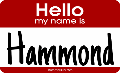 Hello my name is Hammond png download