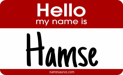 Hello my name is Hamse png download