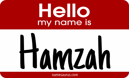 Hello my name is Hamzah png download
