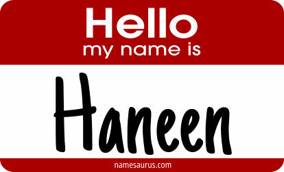 Hello my name is Haneen png download