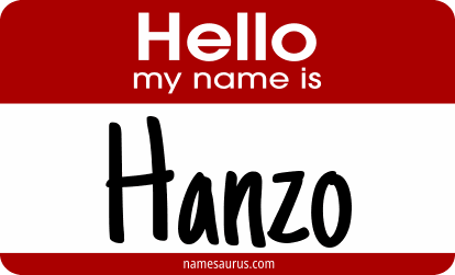 Hello my name is Hanzo png download