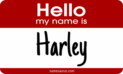 Hello my name is Harley png download