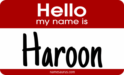 Hello my name is Haroon png download