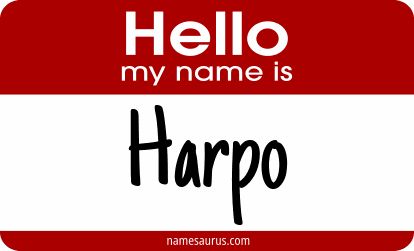 Hello my name is Harpo png download