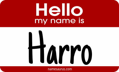 Hello my name is Harro png download