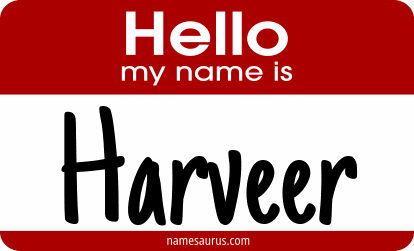 Hello my name is Harveer png download