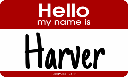 Hello my name is Harver png download
