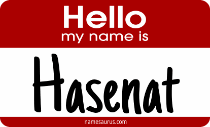 Hello my name is Hasenat png download
