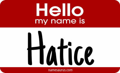 Hello my name is Hatice png download