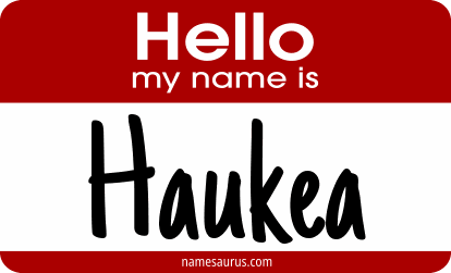 Hello my name is Haukea png download