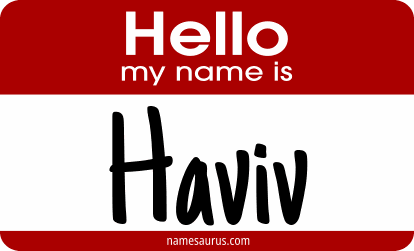 Hello my name is Haviv png download