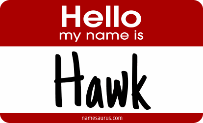 Hello my name is Hawk png download