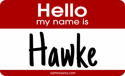 Hello my name is Hawke png download
