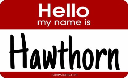 Hello my name is Hawthorn png download