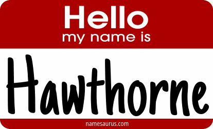 Hello my name is Hawthorne png download