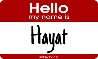 Hello my name is Hayat png download
